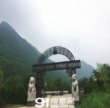 陵园风景图-1