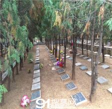 陵园风景图-1