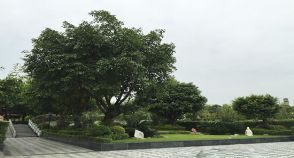陵园风景图-2