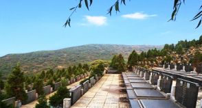 陵园风景图-2